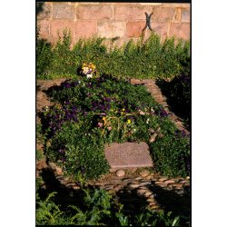 Veders� - Kaj Munks Grav - Wadmans 9222 - Ubrugt