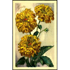 Illa - Hjertlig Lyknskning - Stender Serie 5001 - Brugt