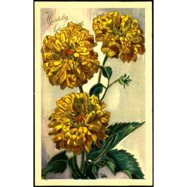 Illa - Hjertlig Lyknskning - Stender Serie 5001 - Brugt