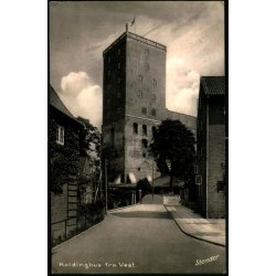 Koldinghus fra Vest - Stender K. 233 - Brugt