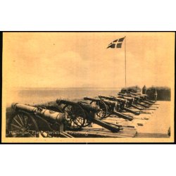Helsing�r - Flagbatteriet paa Kronborg - Stender H. 291 - Ubrugt