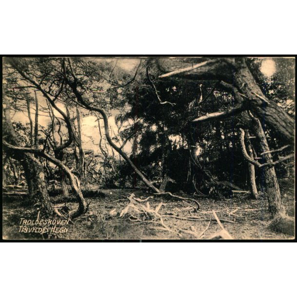 Troldeskoven - Tisvilde Hegn - A. Jensens Bogh. u/n - Ubrugt