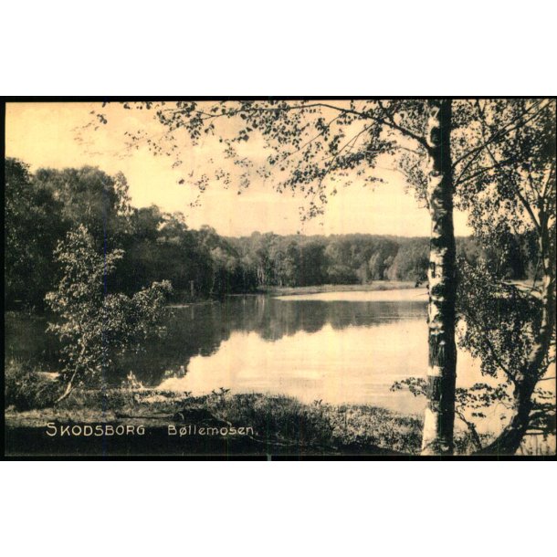Skodsborg - B�llemosen - Skodsborg Brugs og K�bmandshandel 5984  - Ubrugt