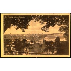 Frederiksberg Bakke - Dansk Lystryk - 1602 - Brugt - Fold !