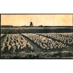 Parti fra Blomsterlgkulturen - Stige - W.E.L. 7842 - Brugt