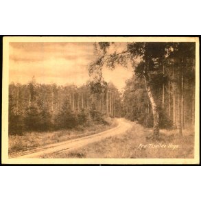 Fra Tisvilde Hegn - E. Ramlaus Bogh. u/n - Brugt