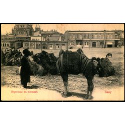 Baku - (Aserbajdsjan) - Kameler p Torvet - Ubrugt