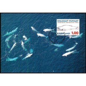 Hvidhval - Grnlands Post 75/96 - Brugt