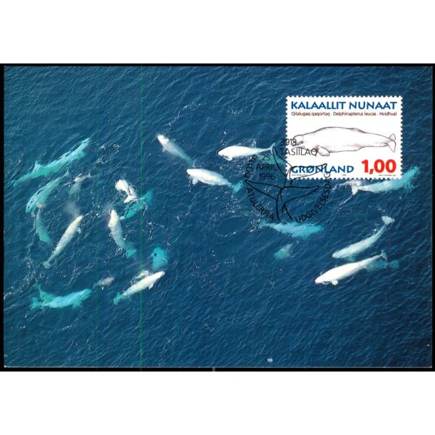 Hvidhval - Grnlands Post 75/96 - Brugt
