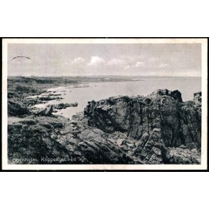 Bornholm - Klippekyst ved Tejn - Karl H. Olsens Bogh. 109 - Brugt