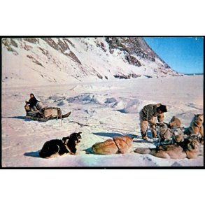 At the top of The World - Thule Air Base - Dexter Color 12066 - Brugt