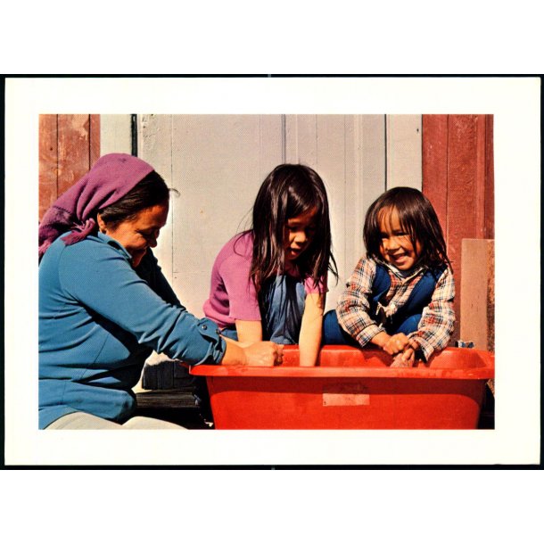 Grnlandske Brn - Kartonkort u/n - Ubrugt