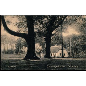 Aarhus - Skovfogedhuset i  Friheden - P. 1 - Brugt