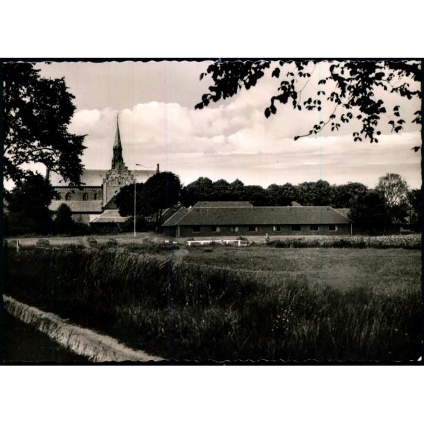 Refugiet - Lgumkloster h.w.t. 230/1 - Ubrugt