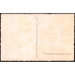 Aalborghallen og Udsigtstaarnet - Vesterbros Bogh. 69770 - Ubrugt