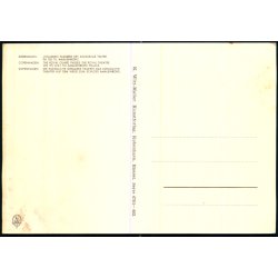 Livgarden passerer Det kongelige Teater - K. Witt M�ller 6701 - 403 - Ubrugt