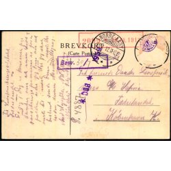 Kbenhavn - Udsigt fra Frederiksberg Bakke - u/n - Brugt - Lille rift !