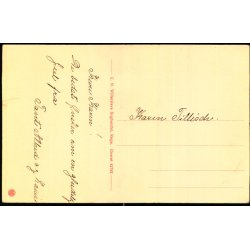 Vall Slotsgaard - C.N. Willerslevs Bogh. 42792 - Ubrugt