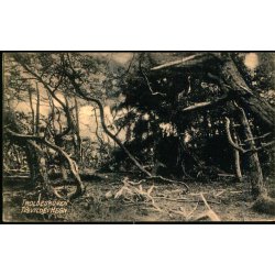 Troldeskoven - Tisvilde Hegn - A. Jensens Bogh. u/n - Brugt