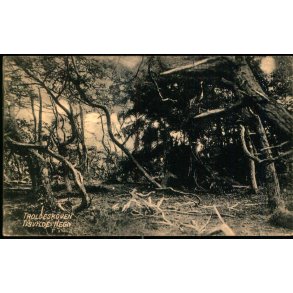 Troldeskoven - Tisvilde Hegn - A. Jensens Bogh. u/n - Brugt