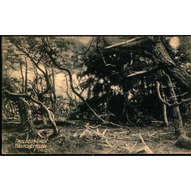 Troldeskoven - Tisvilde Hegn - A. Jensens Bogh. u/n - Brugt