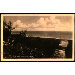 Parti fra Tisvilde Hegn - K. Poulsens Bogh. 58225 - Brugt