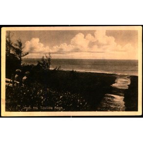 Parti fra Tisvilde Hegn - K. Poulsens Bogh. 58225 - Brugt