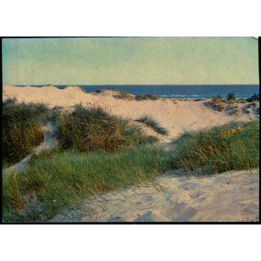 Klitter ved Dueodde - u/n - Ubrugt