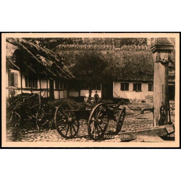 Mosegaarden - Tisvilde - Albert Jensen 58453 - Ubrugt