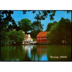 Trning Mlle - Brorsbl Foto 395/87 - Ubrugt