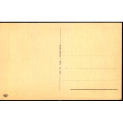 Ribe - Fra Domkirkes Indre - Boghandlerne i Ribe 4807 - Ubrugt