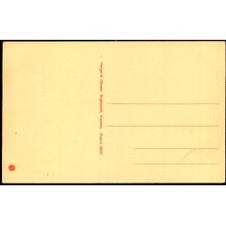 Valdnddetret ved Torvet Svaneke - Slengerik Hansens Bogh. 35657