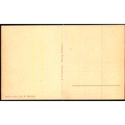 B�llemosen - Ferslews Forlag u/n - Ubrugt