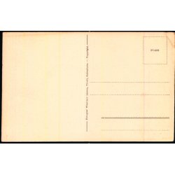 Kbenhavn - Tivoli Hovedindgangen - W. Larsen u/n - Ubrugt