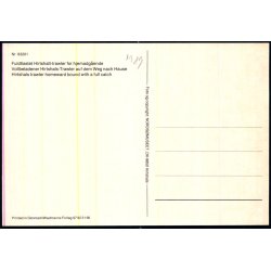 Hirtshals-travler - Nords�museet 83201 - Ubrugt