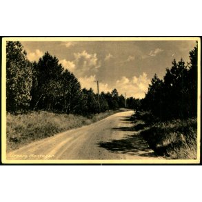 Ulfborg Plantage - L. Gundelachs Bogh. 89570 - Brugt