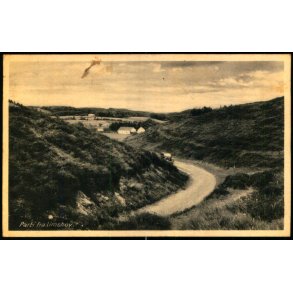 Parti fra Limskov - Rudolf Olsen 4079  - Brugt