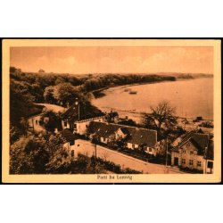 Parti fra Lemvig - Skandinavisk Repro. 16 - Ubrugt