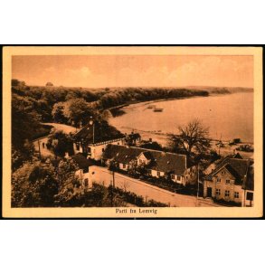 Parti fra Lemvig - Skandinavisk Repro. 16 - Ubrugt