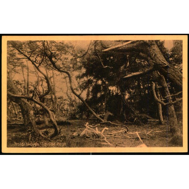 Troldeskoven - Tisvilde Hegn - A. Jensens Bogh. 1275 - Ubrugt