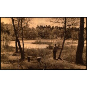 B�llemosen - Ferslews Forlag u/n - Ubrugt