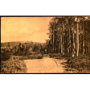 Tisvilde Hegn - Raabjerg - K. Poulsens Bogh. u/n - Brugt