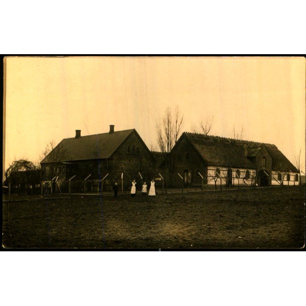Vieholmsgaard - Holl�se - Fotokort u/n - Ubrugt