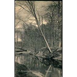 Krageskoven - Odense - u/n - Brugt