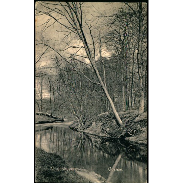 Krageskoven - Odense - u/n - Brugt