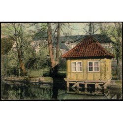 Odense - Bispens Lysthus - C. St. 3101 - Brugt