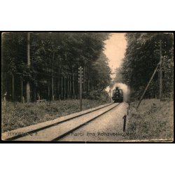 Nyk�bing F. - Parti fra Kohaveskoven -  Stender 12444 - Ubrugt