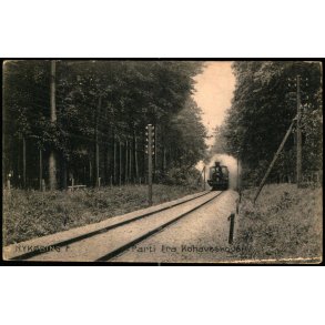 Nyk�bing F. - Parti fra Kohaveskoven -  Stender 12444 - Ubrugt