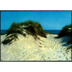 Bornholm - Klitter ved Dueodde - Stender 334 - Brugt