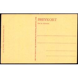 C. Bayer - Rosenborg-Mllens Brand (Vinteren 1850 ) Alex Vincent 20